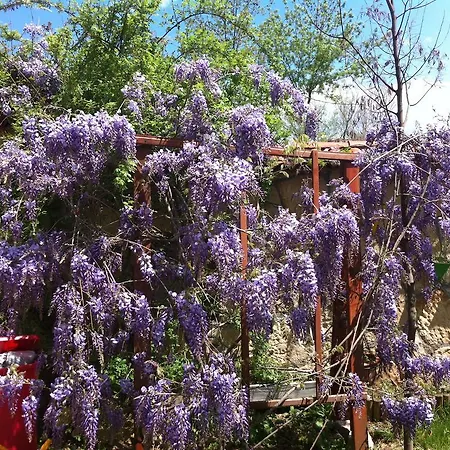 בית כפרי Masal Evi̇ אגווה