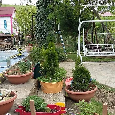 Masal Evi̇