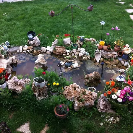 Masal Evi̇ אגווה
